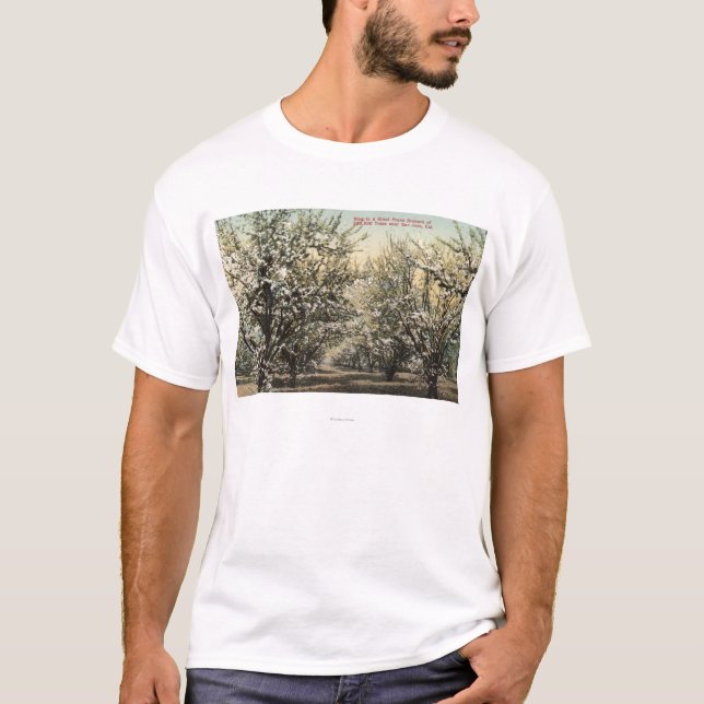 T-shirt Vue d'un verger de pruneau de 300.000 arbres (Devant)