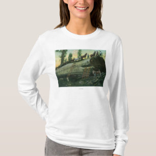 T-shirt Vue d'une équipe de notation sur un séquoia tomb