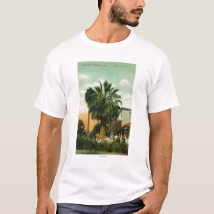 T-shirt Vue extérieure de paume d'Au d'hôtel