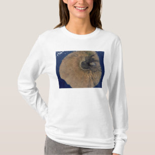 T-shirt Vue satellite du Mont Fogo