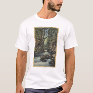 T-shirt Vue supérieure de rivière escroc, Orégon - gorg