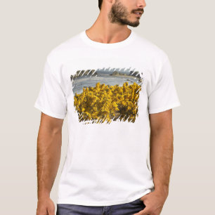 T-shirt Vues côtières, Bandon, Oregon