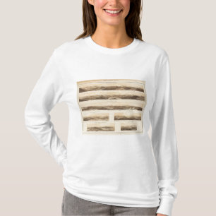 T-shirt Vues panoramiques de bâti Carrigain