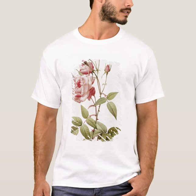 T-shirt Vulgaris indica de Rosa, des 'roses de Les (Devant)