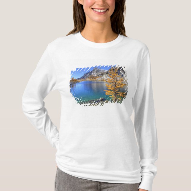 T-shirt WA, Alpine Lakes Wilderness, Enchantage 4 (Devant)
