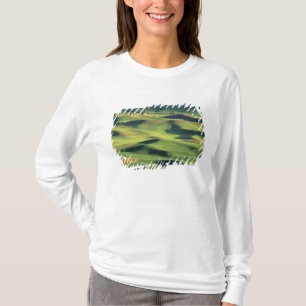 T-shirt WA, comté de Whitman, Palouse Farmland, vue