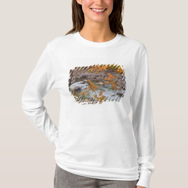 T-shirt WA, forêt nationale de Wenatchee, érable et (Devant)
