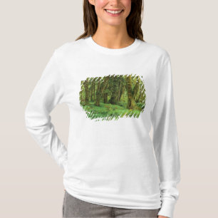 T-shirt WA, parc national Olympique, forêt pluviale de Qui