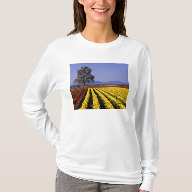 T-shirt WA, Skagit Valley, Skagit Valley Tulip 2 (Devant)
