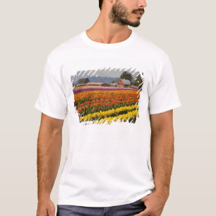 T-shirt WA, Vallée de Skagit, champs de tulipes en fleurs,