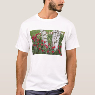 T-shirt WA, vallée de Skagit, jardin de tulipes Roozengaar
