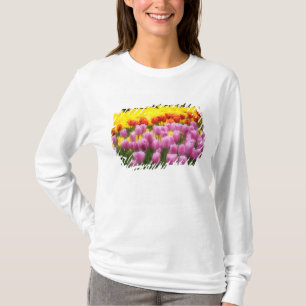 T-shirt WA, Vallée de Skagit, Jardin de tulipes Roozengaar