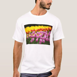 T-shirt WA, Vallée de Skagit, Jardin de tulipes Roozengaar