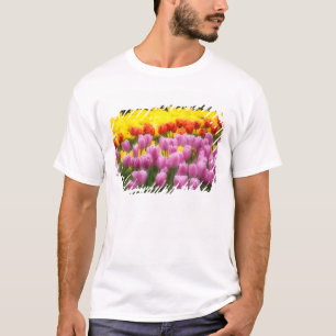 T-shirt WA, Vallée de Skagit, Roozengaarde Tulip Garden, 2