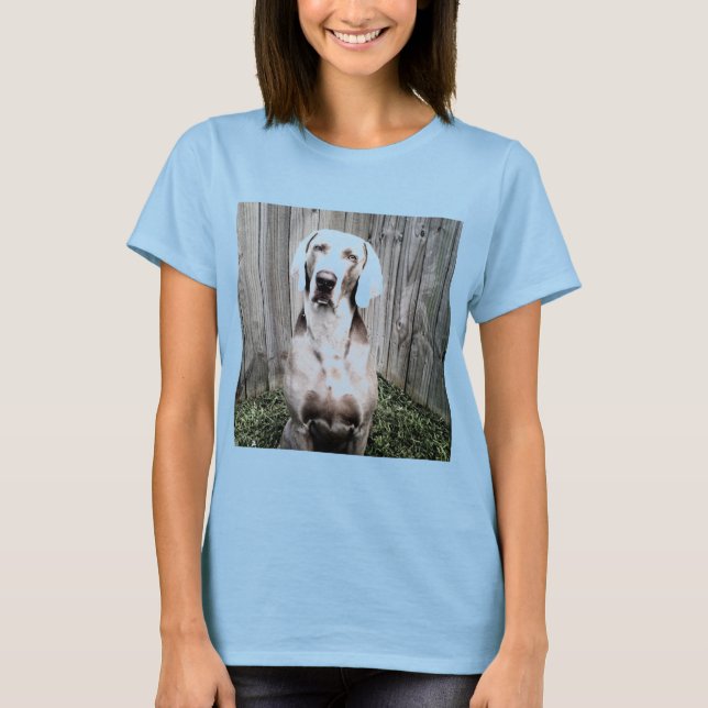 T-shirt Weimaraner (Devant)