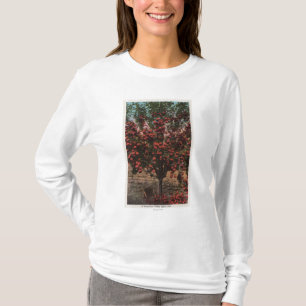 T-shirt Wenatchee, pommier de vallée de WAA Wenatchee