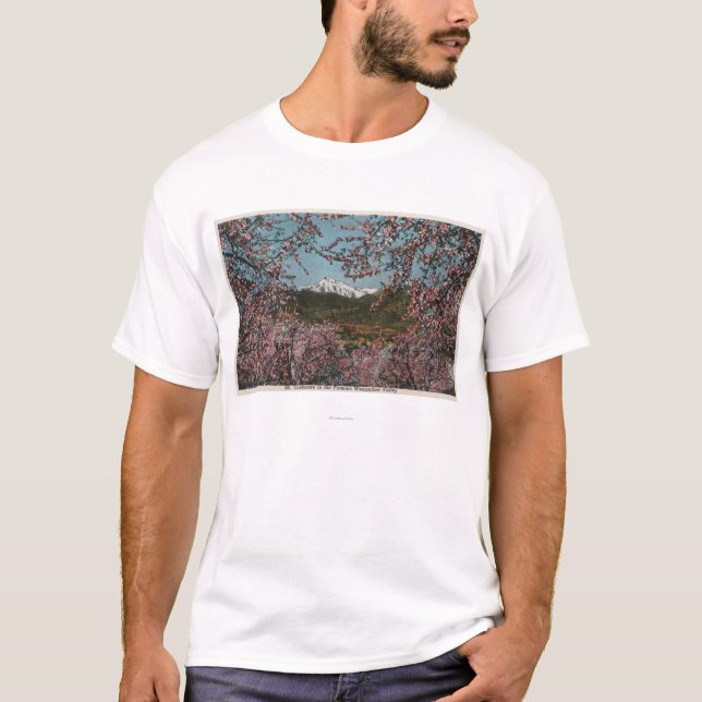 T-shirt Wenatchee, WAView de cachemire de Mt. avec des (Devant)