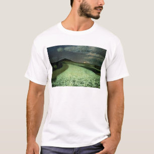 T-shirt Wheatfields mûrs