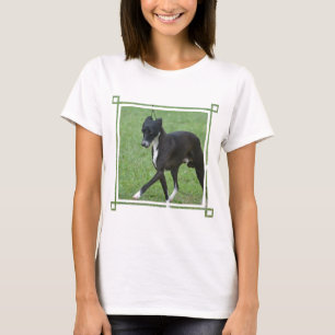 T-shirt Whippet doux