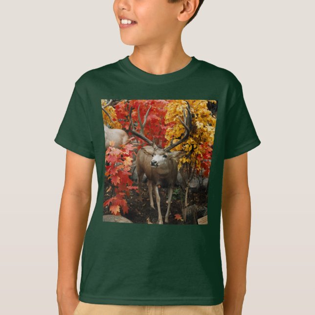 T-shirt Whitetail En Automne (Devant)