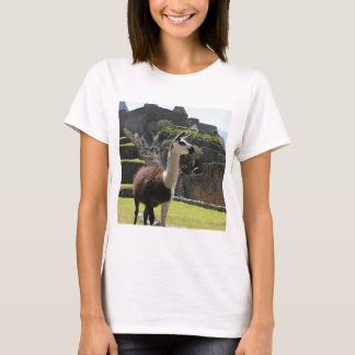 T-shirt Wild Llama Near Ruins