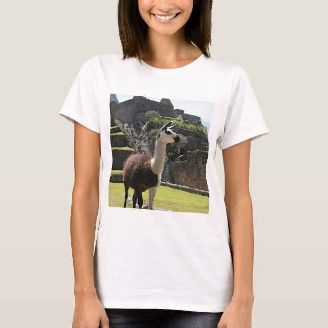 T-shirt Wild Llama Near Ruins (Devant)