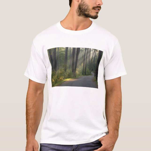 T-shirt Wilderness Drive, Parc d'État d'Itasca, (Devant)