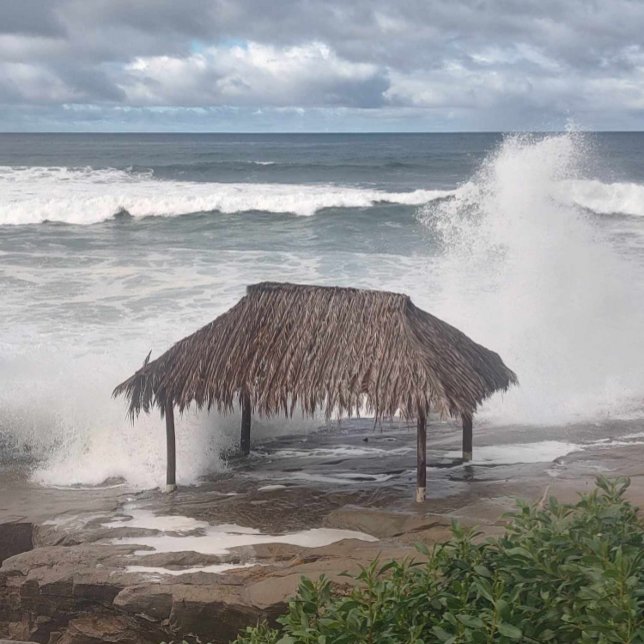 T-shirt Windansea (Créateur téléchargé)