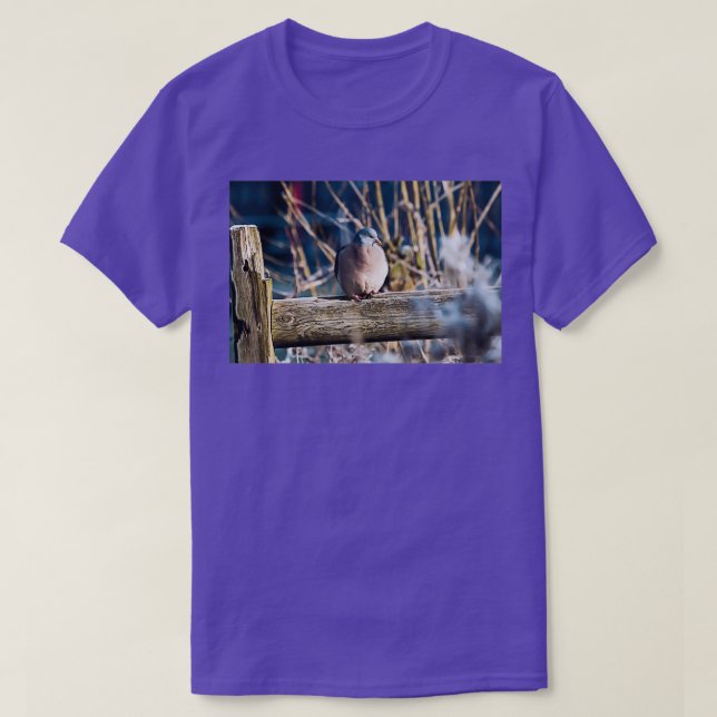 T-shirt Winter Wood Pigeon (Design devant)