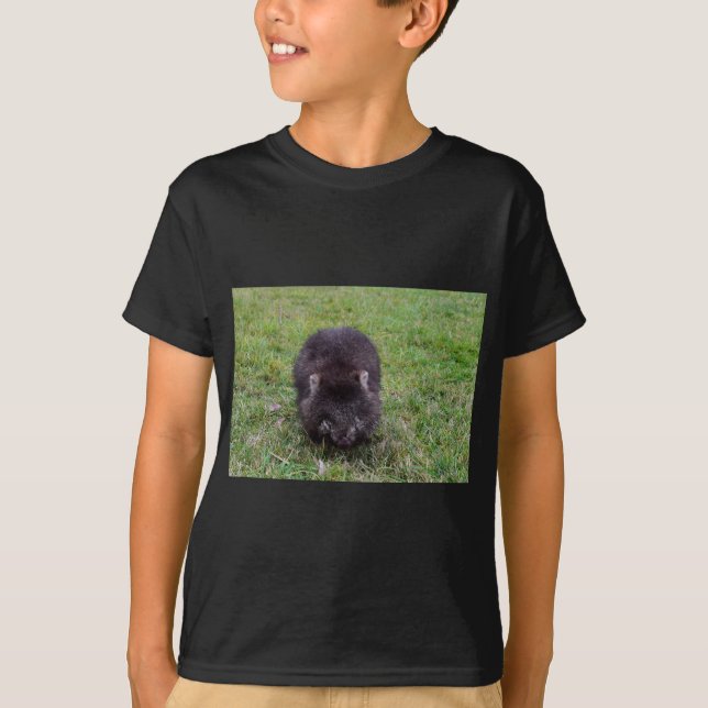 T-SHIRT WOMBAT TASMANIE AUSTRALIE (Devant)