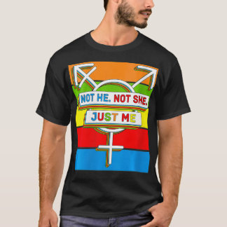 T-shirt Womens Genderqueer Pride LGBTQ NonBinary VNeck 