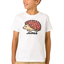 write your name on this Pink Hedgehog