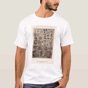 T-shirt XII ornements de Shell, ainsi la Californie