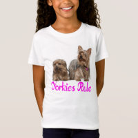 Yorkshire Terrier Puppy Dog Love Yorkies Girls