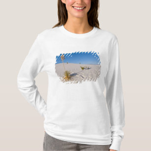 T-shirt Yucca eléphantipède, ombre longue, dunes transvers