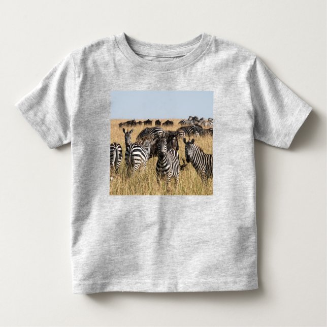 T-shirt Zebra Toddler de Grant (Devant)