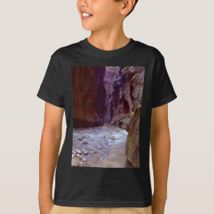 T-shirt Zion rétrécit le randonnée par la rivière dans
