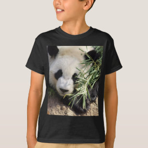 T-shirt Zoo Atlanta d'ours panda @