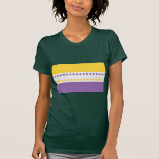 T-shirts de drapeau de droits de la femme