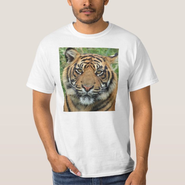 T-shirts Mens Tiger (Devant)