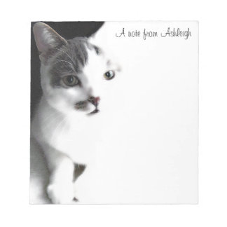 Tabby blanc et Brown Tabby Tabby Tabat Bloc-notes