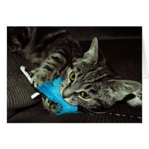 Tabby Cat avec plume par Shirley Taylor