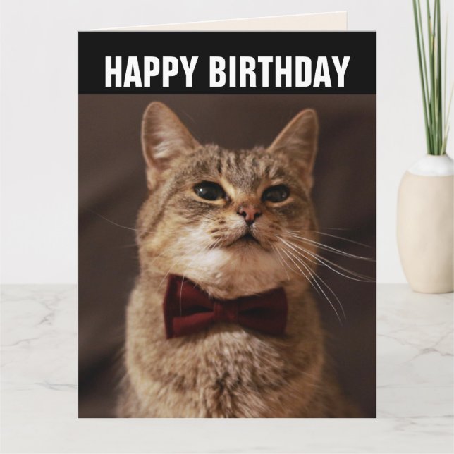 TABBY CAT BOW CRAVATE CARTE DE SALUT D'ANNIVERSAIR (Devant)