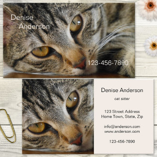 Tabby Cat - Carte de visite de sitter de chat