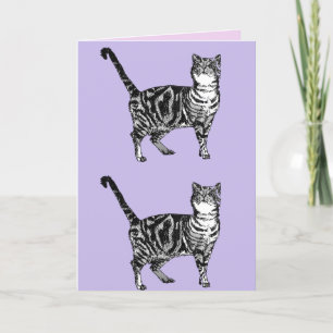 Tabby Cat Cute Cats Pink Art Dessin Carte Annivers