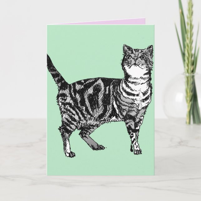 Tabby Cat Cute Cats Pink Art Dessin Carte Annivers (Devant)