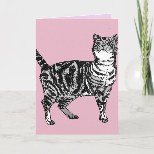 Tabby Cat Cute Cats Pink Art Dessin Carte Annivers (Devant)