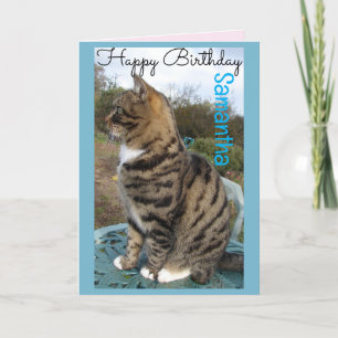 Tabby Cat Cute Strited Cats Carte Anniversaire