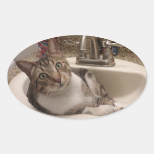 Tabby Cat dans Stickers