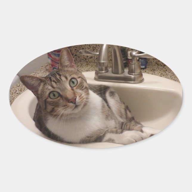 Tabby Cat dans Stickers (Devant)